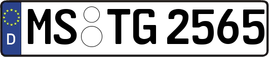MS-TG2565