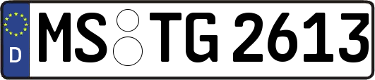 MS-TG2613