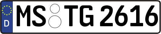 MS-TG2616