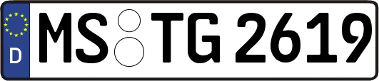 MS-TG2619