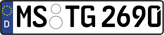 MS-TG2690