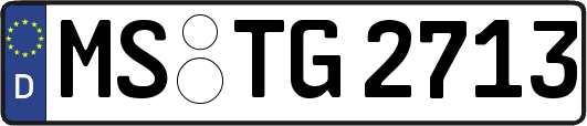 MS-TG2713