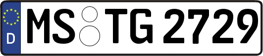 MS-TG2729
