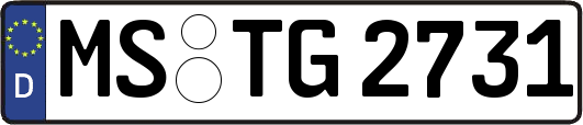 MS-TG2731