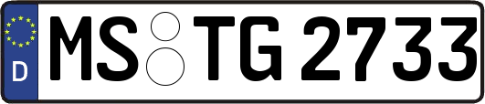 MS-TG2733
