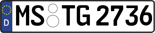 MS-TG2736