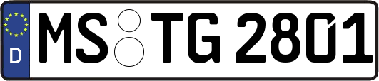 MS-TG2801