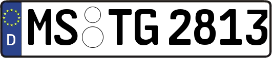 MS-TG2813