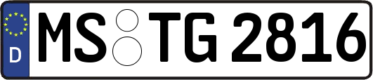 MS-TG2816