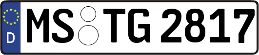 MS-TG2817