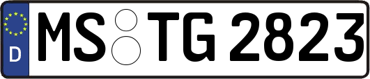 MS-TG2823