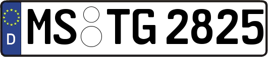MS-TG2825