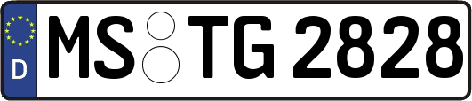 MS-TG2828
