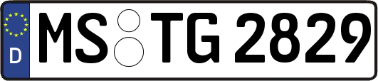 MS-TG2829