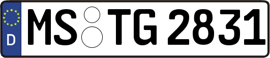 MS-TG2831