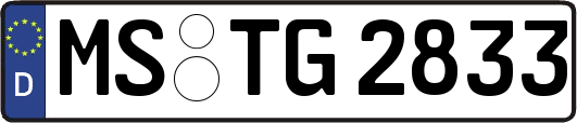 MS-TG2833