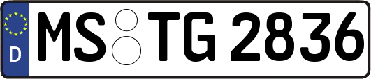 MS-TG2836
