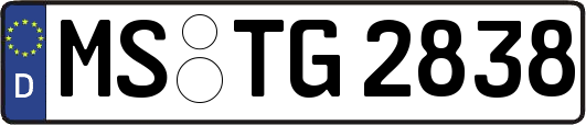 MS-TG2838