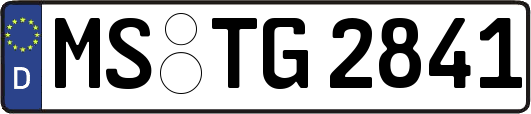 MS-TG2841