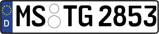 MS-TG2853