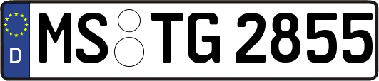 MS-TG2855