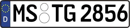 MS-TG2856