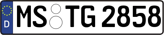 MS-TG2858