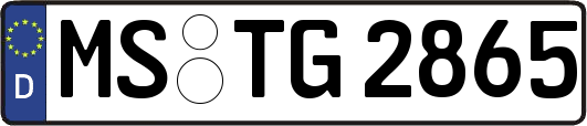 MS-TG2865