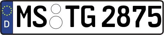 MS-TG2875