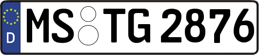 MS-TG2876