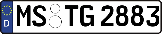 MS-TG2883