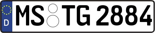 MS-TG2884
