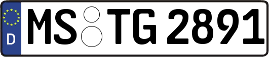 MS-TG2891