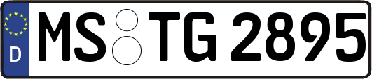 MS-TG2895