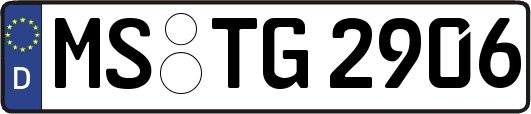 MS-TG2906
