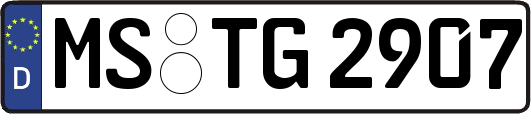MS-TG2907