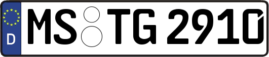 MS-TG2910