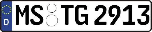 MS-TG2913