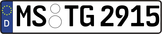 MS-TG2915