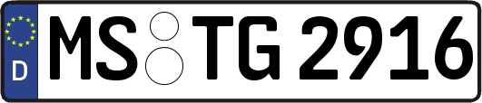 MS-TG2916