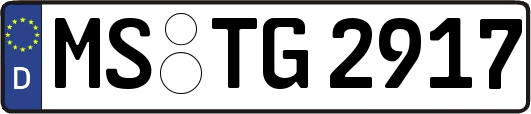 MS-TG2917