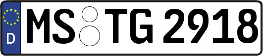 MS-TG2918