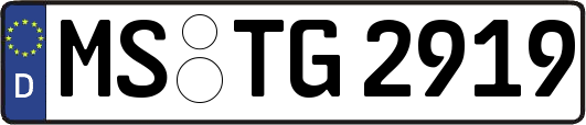 MS-TG2919