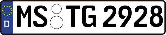 MS-TG2928