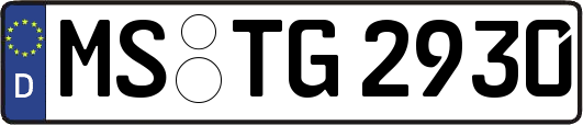 MS-TG2930