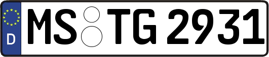 MS-TG2931