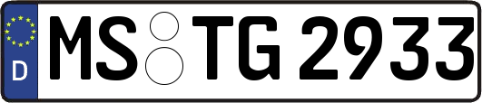 MS-TG2933