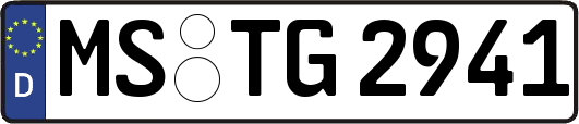 MS-TG2941