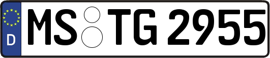 MS-TG2955