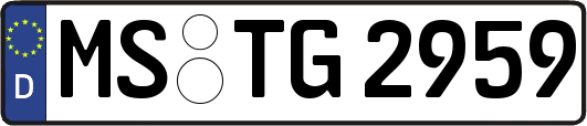 MS-TG2959